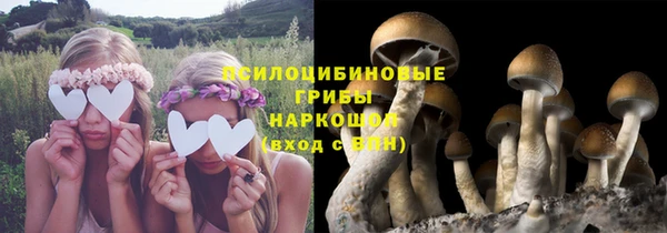 прущие крисы Алексеевка